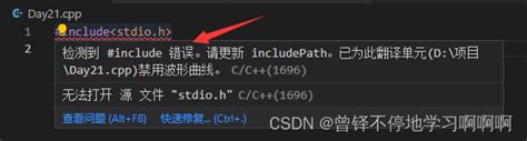 Update C Include Path 的图像结果