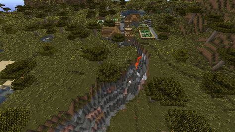 Image result for Ravine Seeds Java