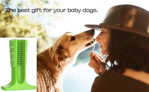 24x7 eMall Dog Toothbrush Stick-Puppy Dental Care Brushing Stick ...