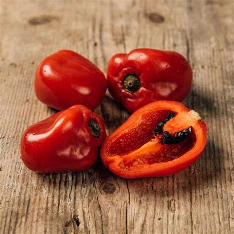 Yellow African Fatalii Chilli Pepper (Capsicum chinense) seeds