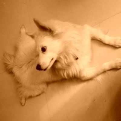 Decibel drama - Times of India