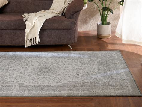 Shop Rugs & Carpets Online at Best Prices in India | Spaces