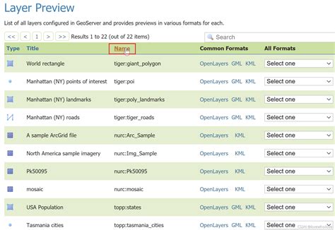 Using GeoServer Plug Ins 的图像结果