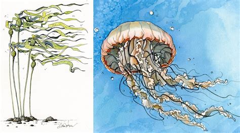 Modern Mermaid: Kanadische Frauen über ihr Traumleben am Meer