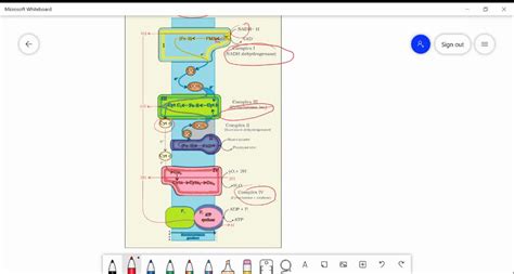 Image result for ETS Function Examples