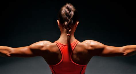 Straight Back Tutorial 的图像结果