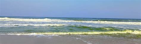 Coastal Water Quality | NCCR