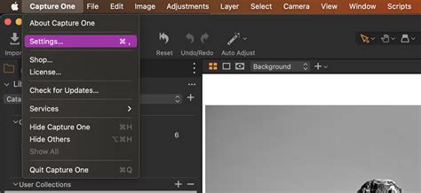 Image result for Preferences Settings PC