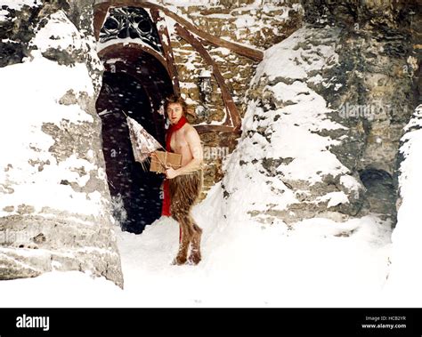 THE CHRONICLES OF NARNIA: THE LION, THE WITCH AND THE WARDROBE, James ...