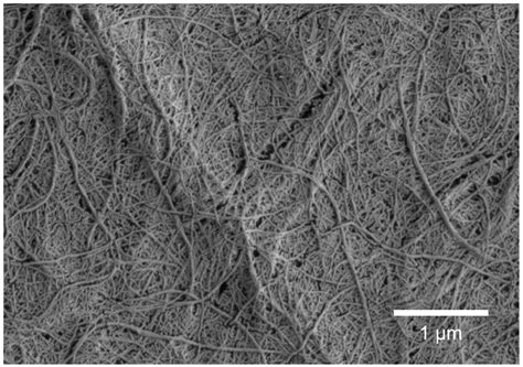 Enhancing the Stability of Aqueous Dispersions and Foams Comprising ...