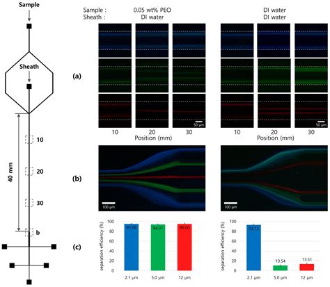 Particle Separation in a Microchannel with a T-Shaped Cross-Section ...