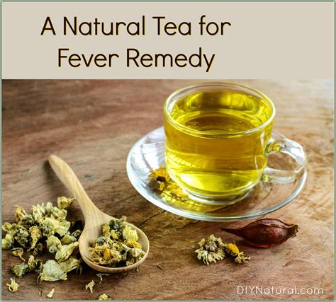 Fever Remedies: Use This Common Flower for Fever Relief Tea