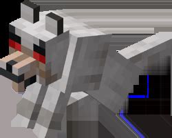 Minecraft Baby Angry Wolf 的图像结果