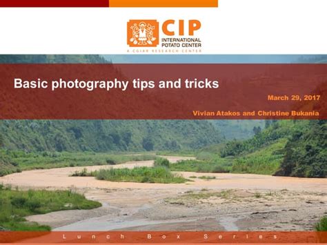 Basic Photographer 的图像结果