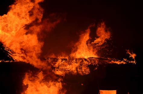 Image result for Ladybug Fire