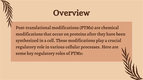 Image result for Post-translational regulation Post-translational Modification