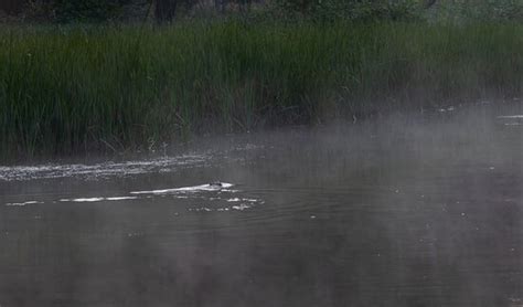 MATSON'S BIG MANISTEE RIVER CAMPGROUND - Campground Reviews & Photos ...