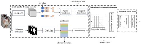 Pedestrian Re-Identification Based on Fine-Grained Feature Learning and ...