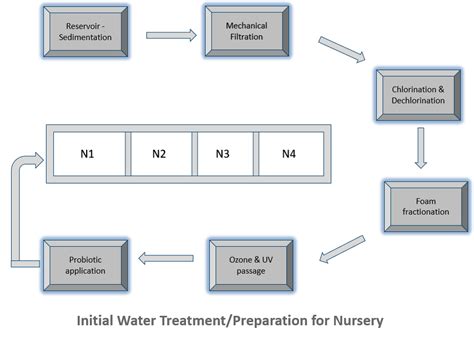 Mitigate shrimp culture risks - Skretting