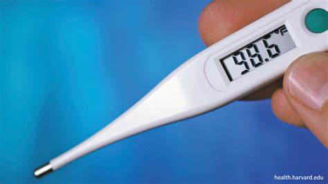 Normal Human Temperature 的图像结果