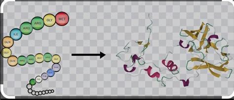 [tex]\huge{\bf{\purple{\underline{\colorbox{black}{\color{white}{qׁׅυׁ ...