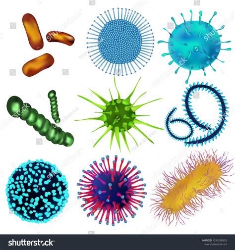13,780 Small Virus Bacteria Images, Stock Photos & Vectors | Shutterstock