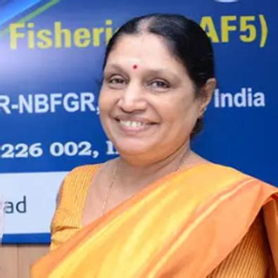 MECOS 4 - The International Symposium