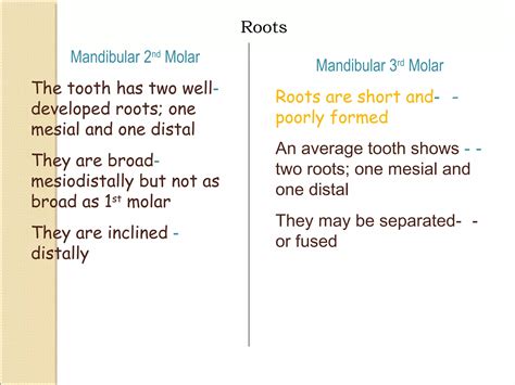morphology of mandibular 1st,2nd,3rd molars teeth | PPT