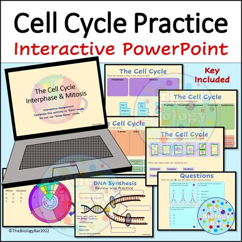 Image result for Cell Cycle Animation