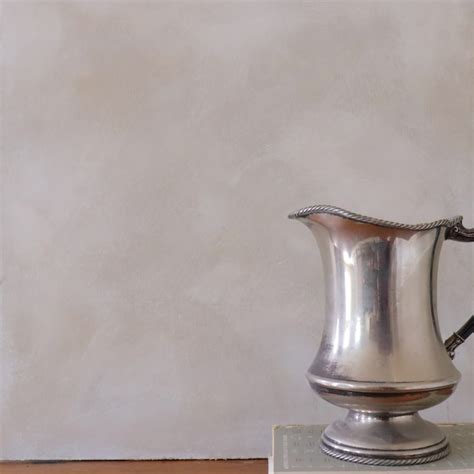 ROMABIO Flat Velatura Mineralwash Nube Gray Lime Interior Paint ...