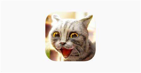 Image result for Cat Evolution Simulator