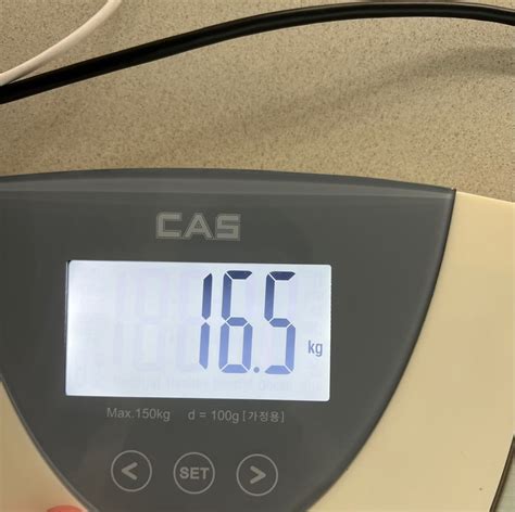 Image result for 7 Segments Python