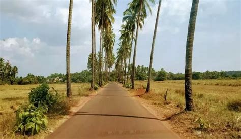Check Out The Best Beaches In Goa For A Fabulous Time! | WhatsHot Goa