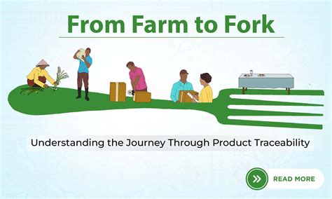 From Farm to Table: How Nirvana Ensures Traceable, Ethical Sourcing ...