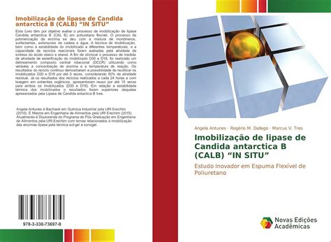 Imobilização de lipase de Candida antarctica B (CALB) “IN SITU”: Estudo ...