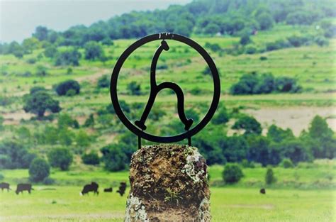 Rancho Seco festeja su centenario en la Feria Nacional de San Marcos ...