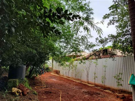 Fact check: Does every household in Goa get piped water, as the ...