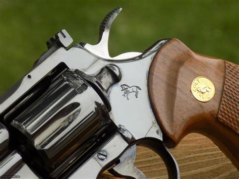 Colt Python 6 Inch Mat Finish 的图像结果