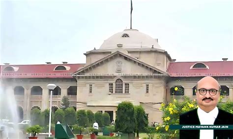 "File Personal Affidavit Explaining The Situation": Allahabad HC Seeks ...