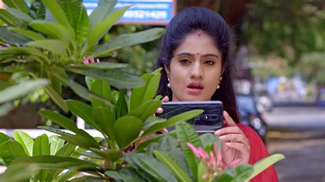 Watch Radhamma Kuthuru TV Serial 16th April 2021 Full Episode 446 ...