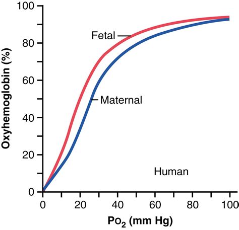 Pregnancy and Lactation - Clinical Tree