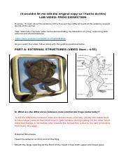 Image result for Dissecting a Frog Lab