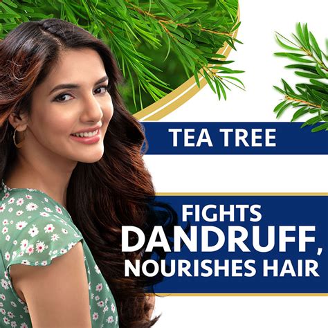 Buy Himalaya Anti-Dandruff Tea Tree Conditioner 80ml – Himalaya ...