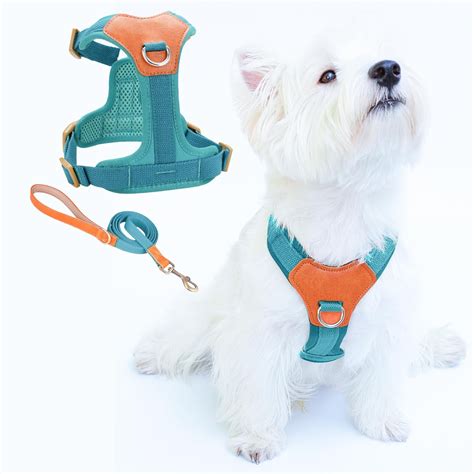 CHUNFENGX No Pull Dog OIF8 Harness and Leash Set, Front Clip Dog ...