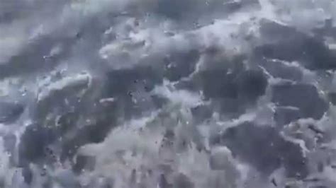 Punjab draining effluents into Indira Gandhi Canal: Rajasthan