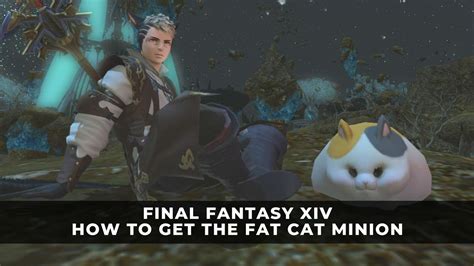 Final Fantasy XIV: How to Get the Fat Cat Minion