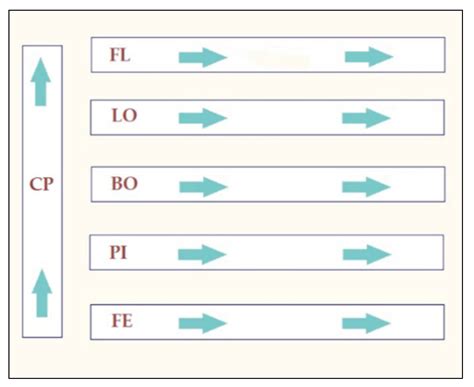 Use of an Ecosystem-Based Approach to Shed Light on the Heterogeneity ...