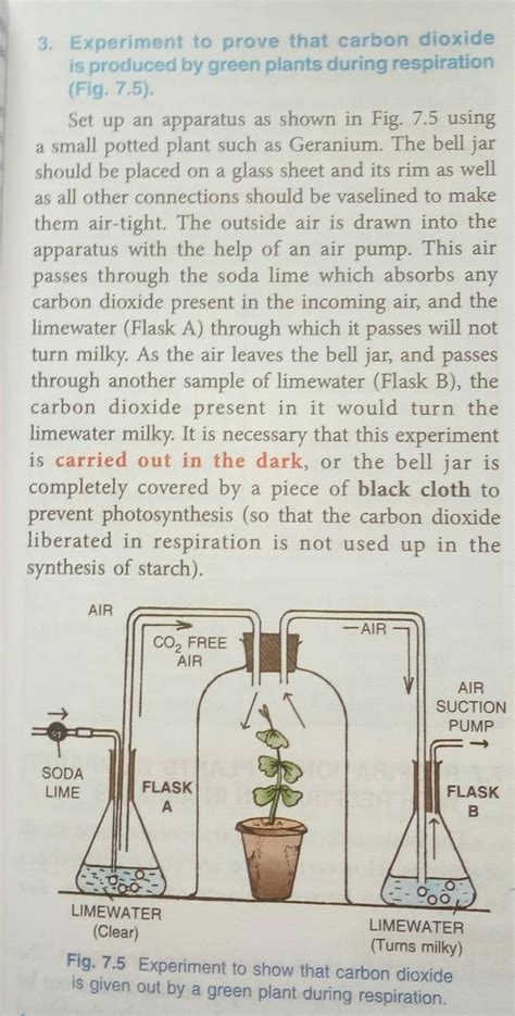 Experiment to prove that carbon dioxide is produced during respiration ...