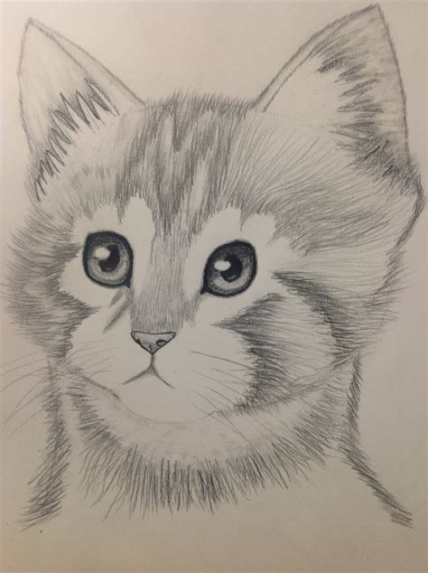 Animal Pencil Drawing at GetDrawings | Free download