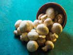 Varieties of Mushrooms in India: 8 types of Mushrooms found in India ...
